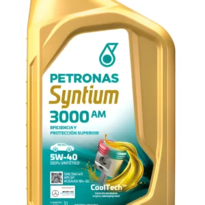 SYNTIUM 3000 AM 5W30 10X 1L